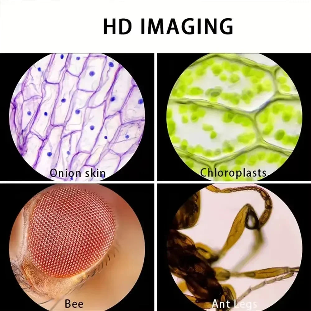 Pocket Microscope for Kids – 60X–120X Zoom with Phone Holder