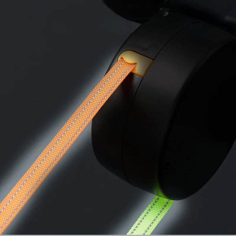 Dual Retractable Dog Leash – LED Light & No-Tangle Design